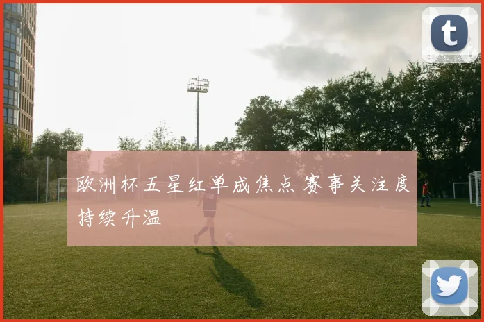 欧洲杯五星红单成焦点 赛事关注度持续升温