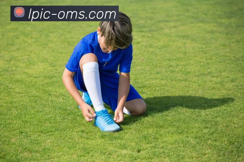 投注app官网发展历程